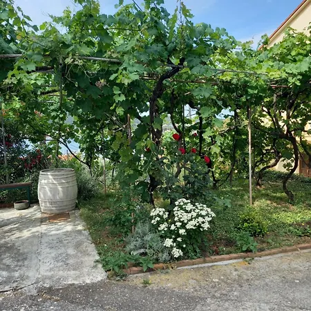 Gostinjska kuća More